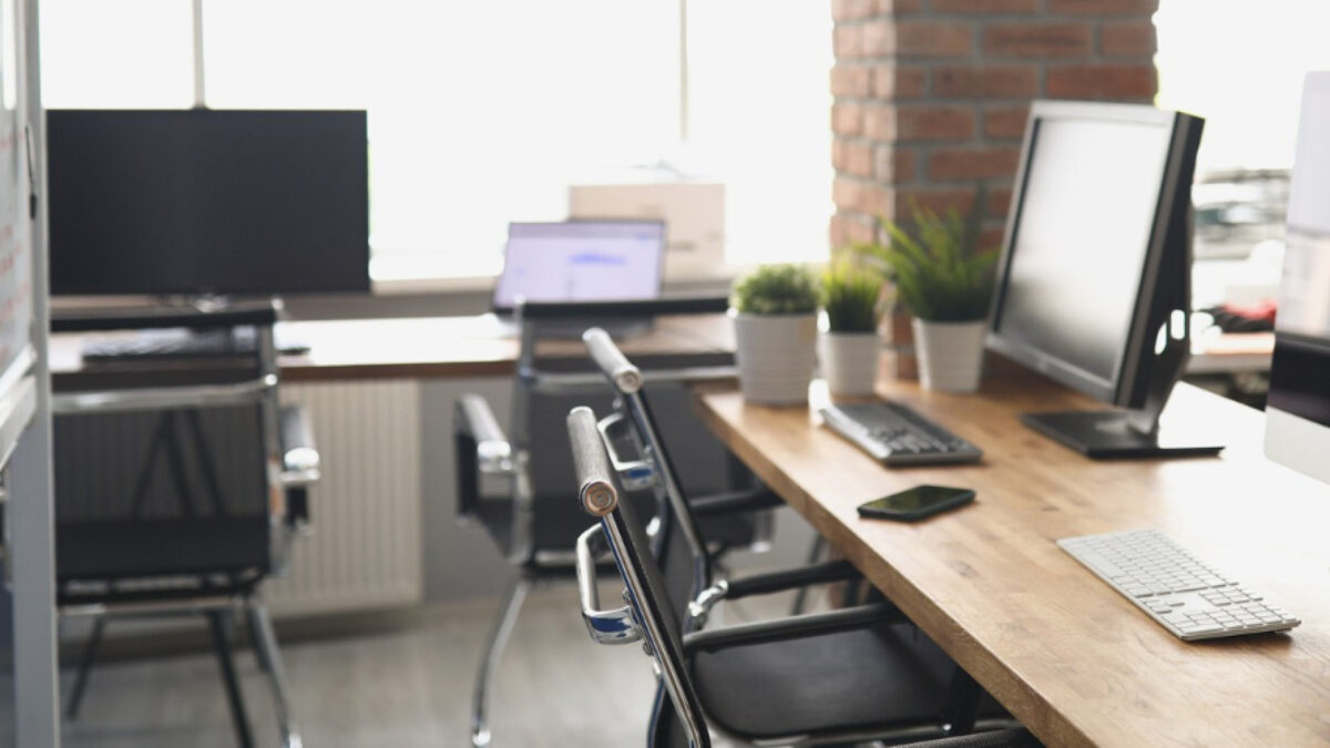 Dératisation et sécurité informatique : protéger votre bureau des nuisibles